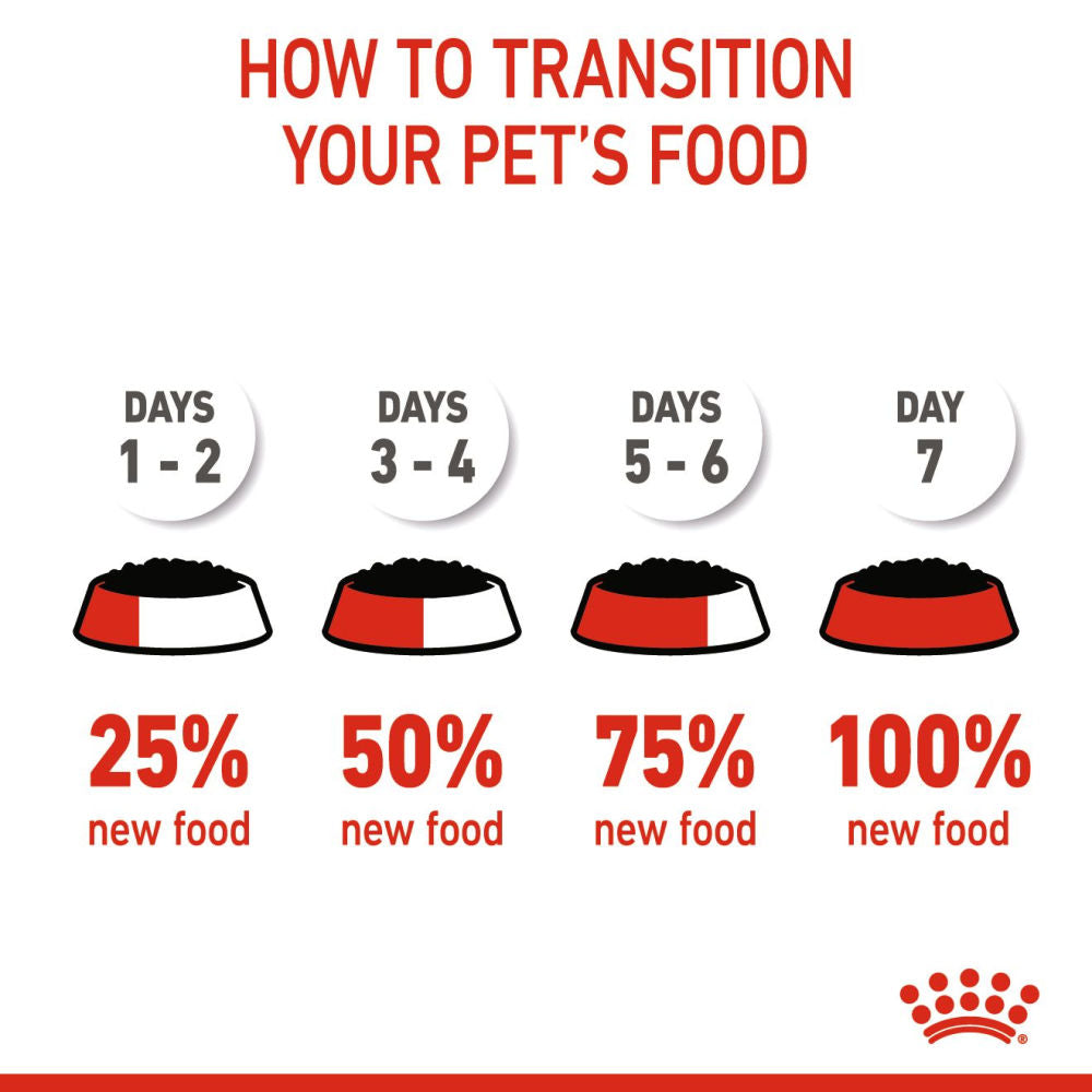 Royal Canin Medium Puppy Dog Wet Food — in use