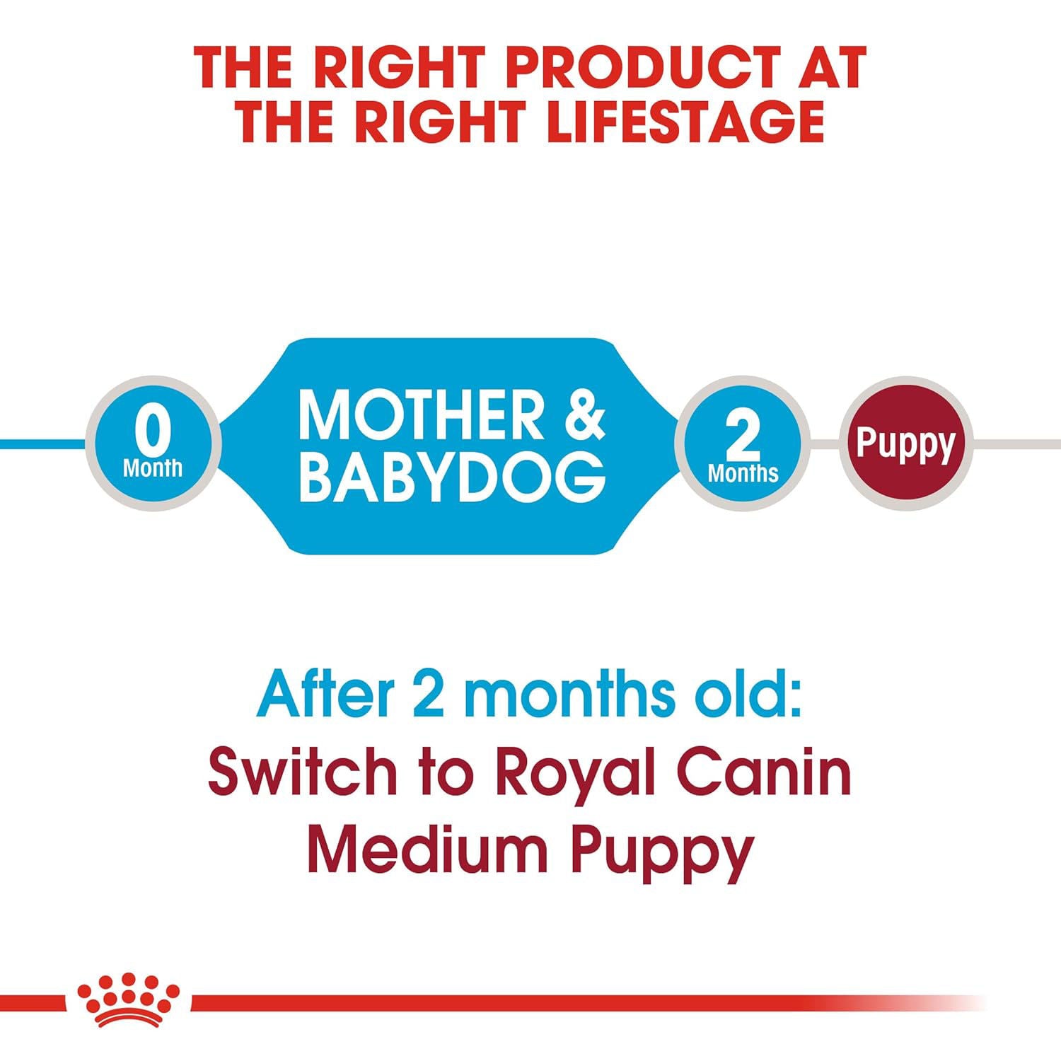 Royal Canin Medium Starter, Mother & Babydog Dry Food — back view