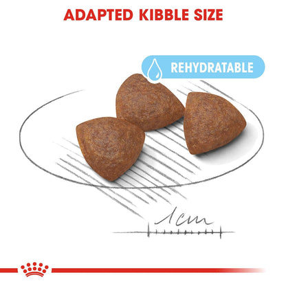 Royal Canin Medium Starter, Mother & Babydog Dry Food — detail shot