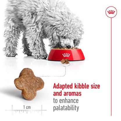 Royal Canin Mini Adult Dog Dry Food — back view