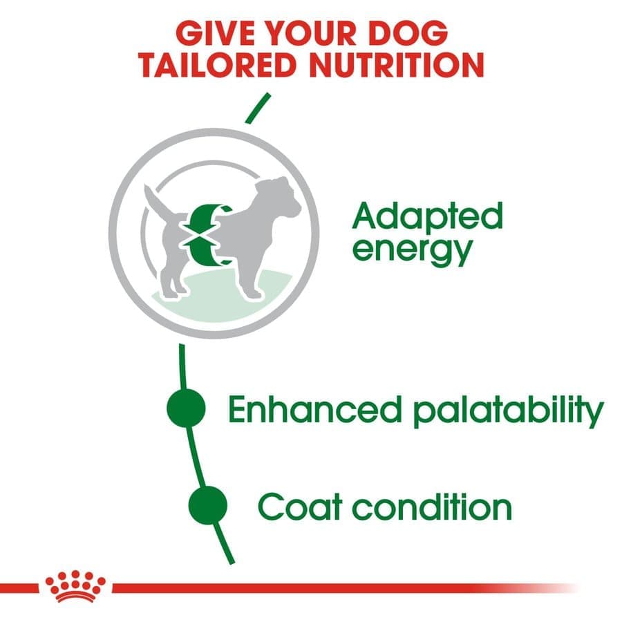 Royal Canin Mini Adult Dog Dry Food — detail shot
