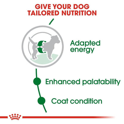 Royal Canin Mini Adult Dog Dry Food — detail shot