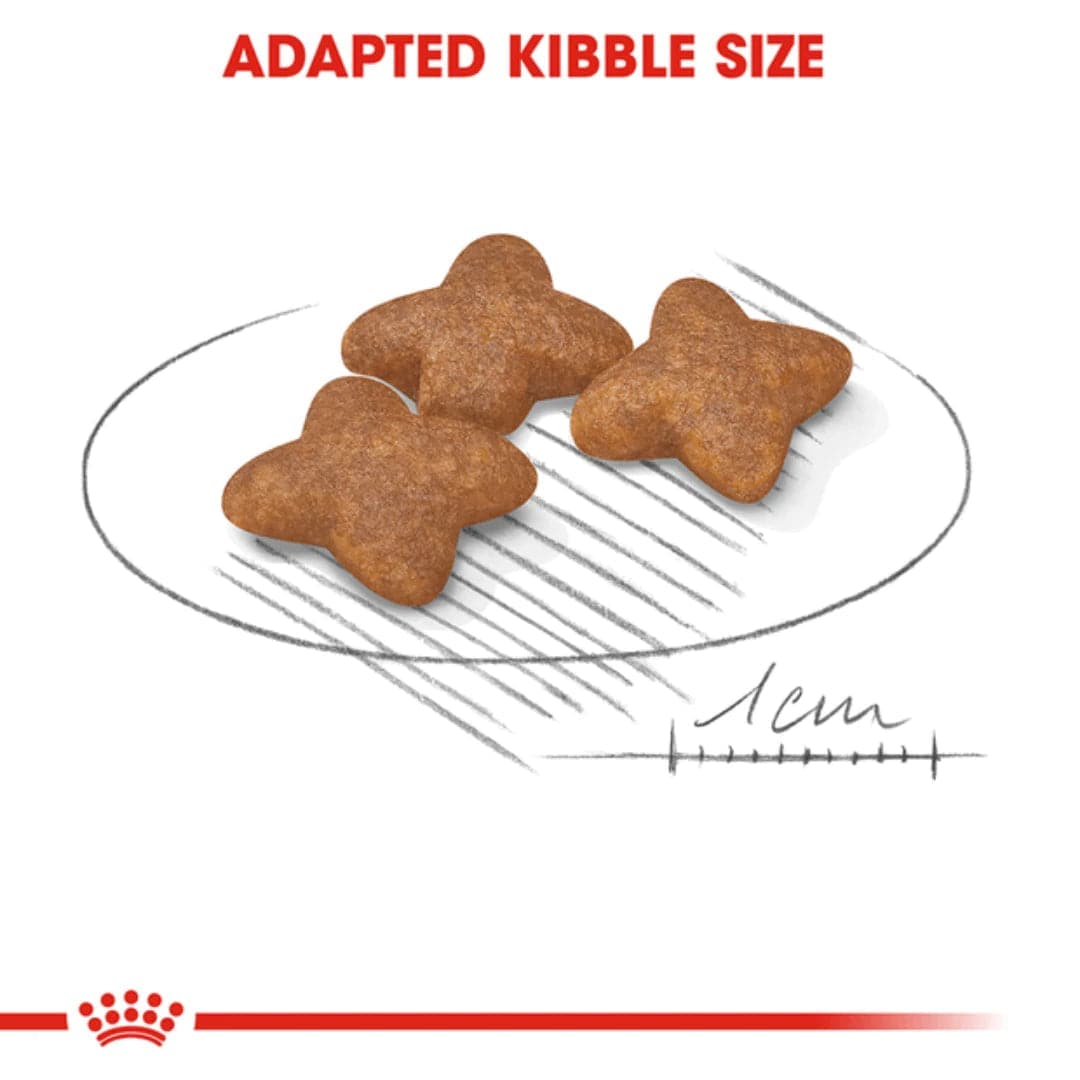 Royal Canin Mini Adult Dog Dry Food — in use