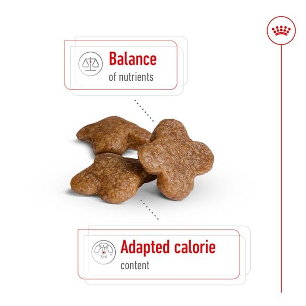 Royal Canin Mini Adult Dog Dry Food with 8+ Years of age — side view