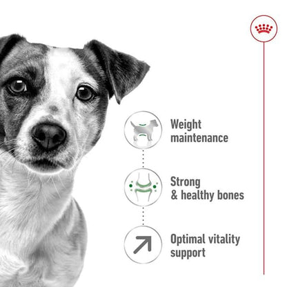 Royal Canin Mini Adult Dog Dry Food with 8+ Years of age — back view