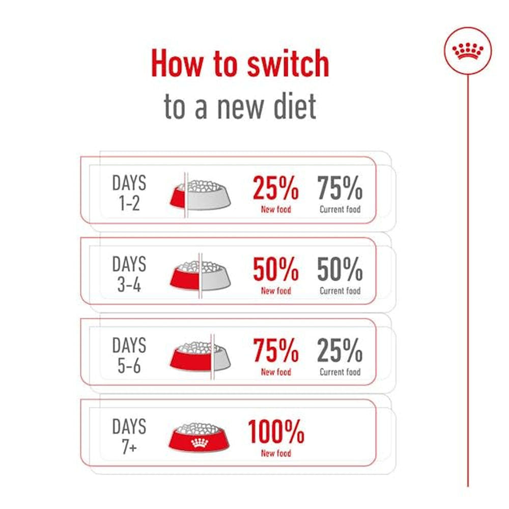 Royal Canin Mini Adult Dog Dry Food with 8+ Years of age — detail shot