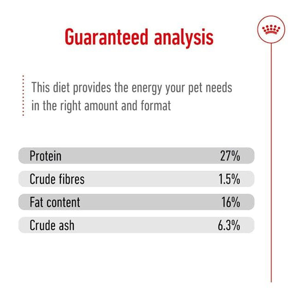 Royal Canin Mini Adult Dog Dry Food with 8+ Years of age — in use