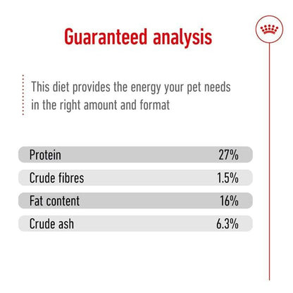 Royal Canin Mini Adult Dog Dry Food with 8+ Years of age — in use