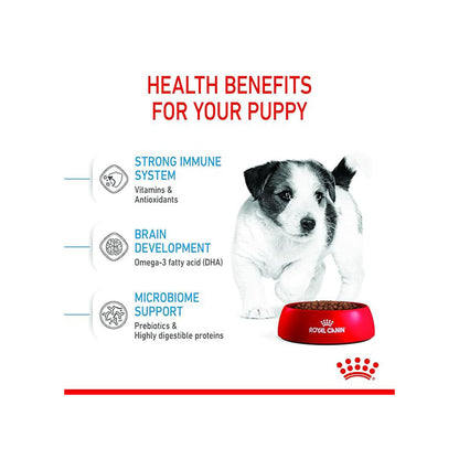 Royal Canin Mini Puppy Dog Dry Food — detail shot