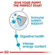 Royal Canin Mini Puppy Wet Food - Image 2