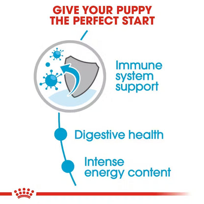 Royal Canin Mini Puppy Dog Wet Food — side view