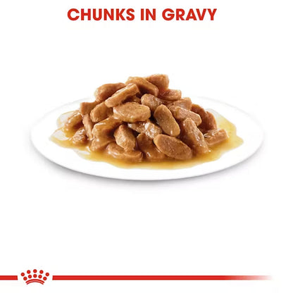 Royal Canin Mini Puppy Dog Wet Food — detail shot