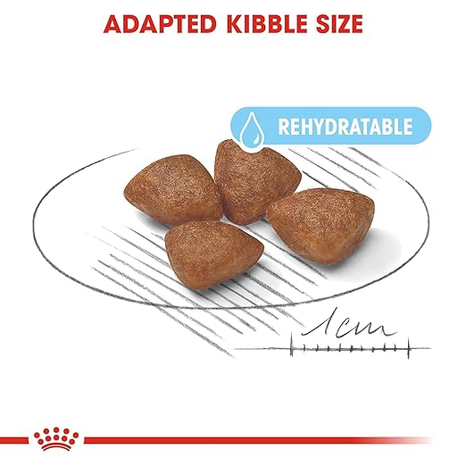 Royal Canin Mini Starter, Mother & Babydog Dry Food — back view