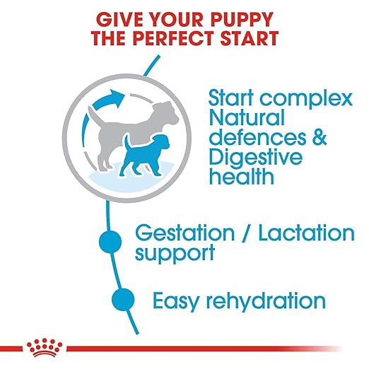 Royal Canin Mini Starter, Mother & Babydog Dry Food — detail shot