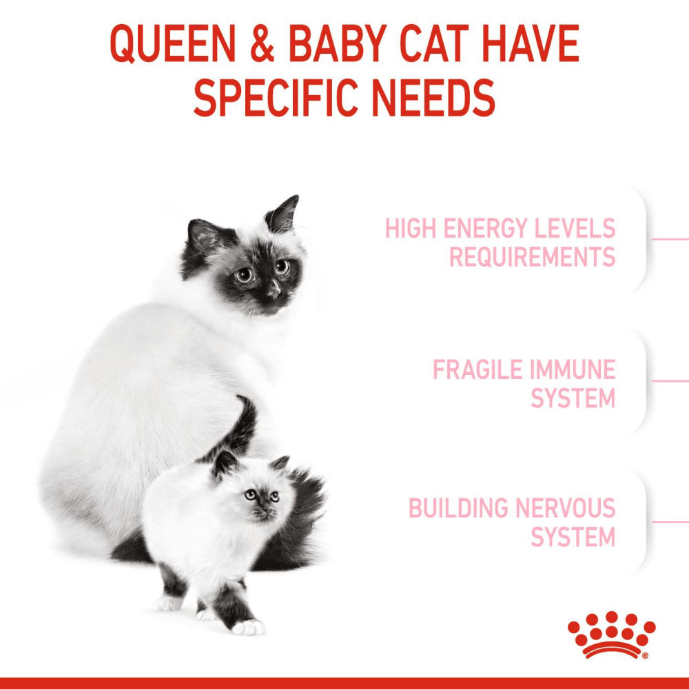 Royal Canin Mother And Baby Cat Dry Food Bgb - Image 2