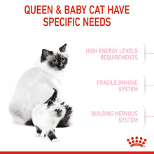 Royal Canin Mother And Baby Cat Dry Food Bgb - Image 2