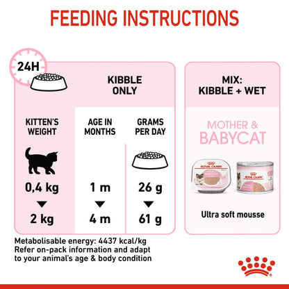 Royal Canin Mother & Babycat Cat Dry Food — detail shot