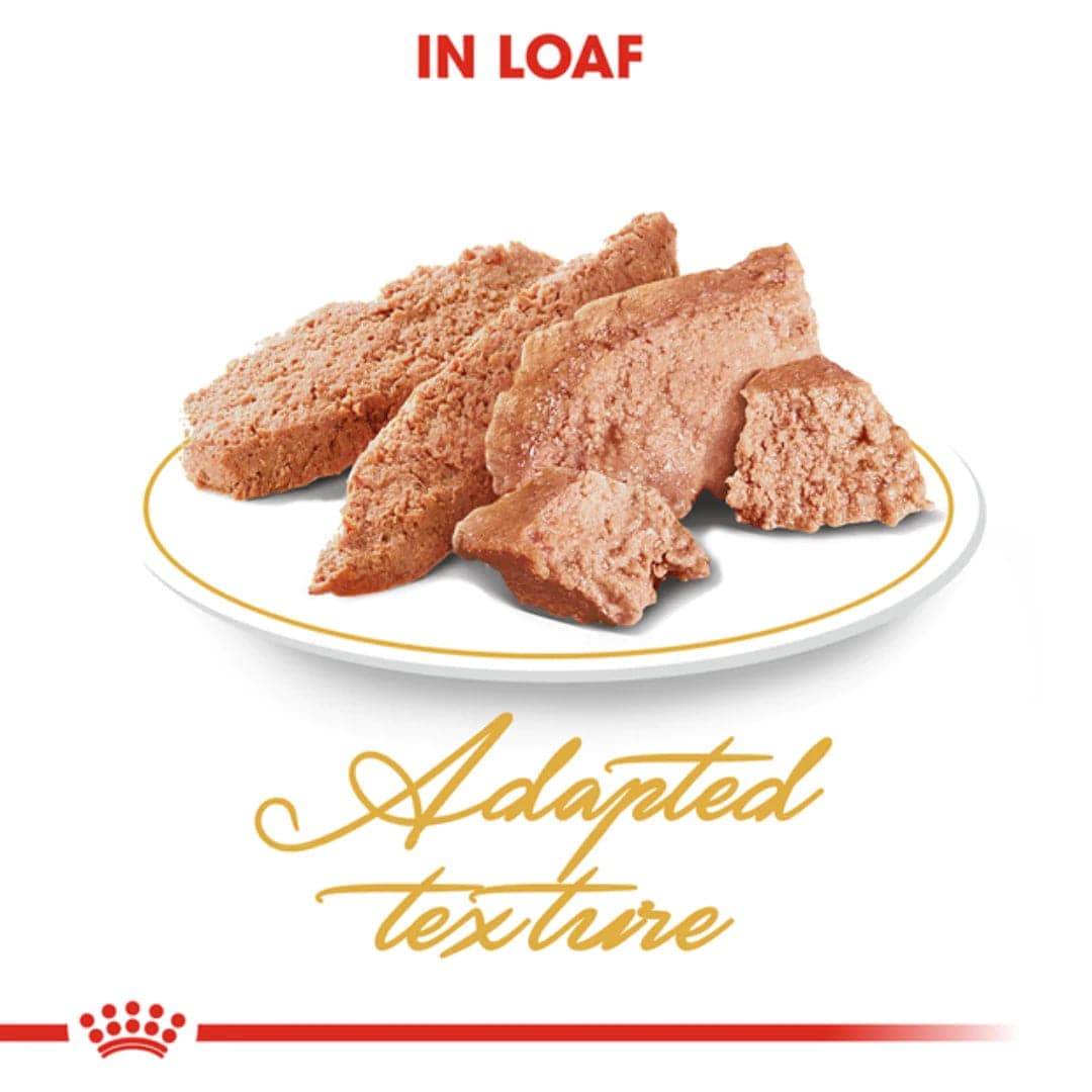 Royal Canin Persian Adult Loaf Cat Wet Food — detail shot
