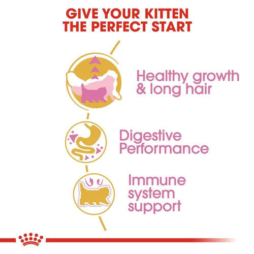 Royal Canin Persian Kitten Food Dry Cat Food — side view