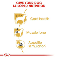 Royal Canin Poodle Adult Dog Dry Food - Image 2