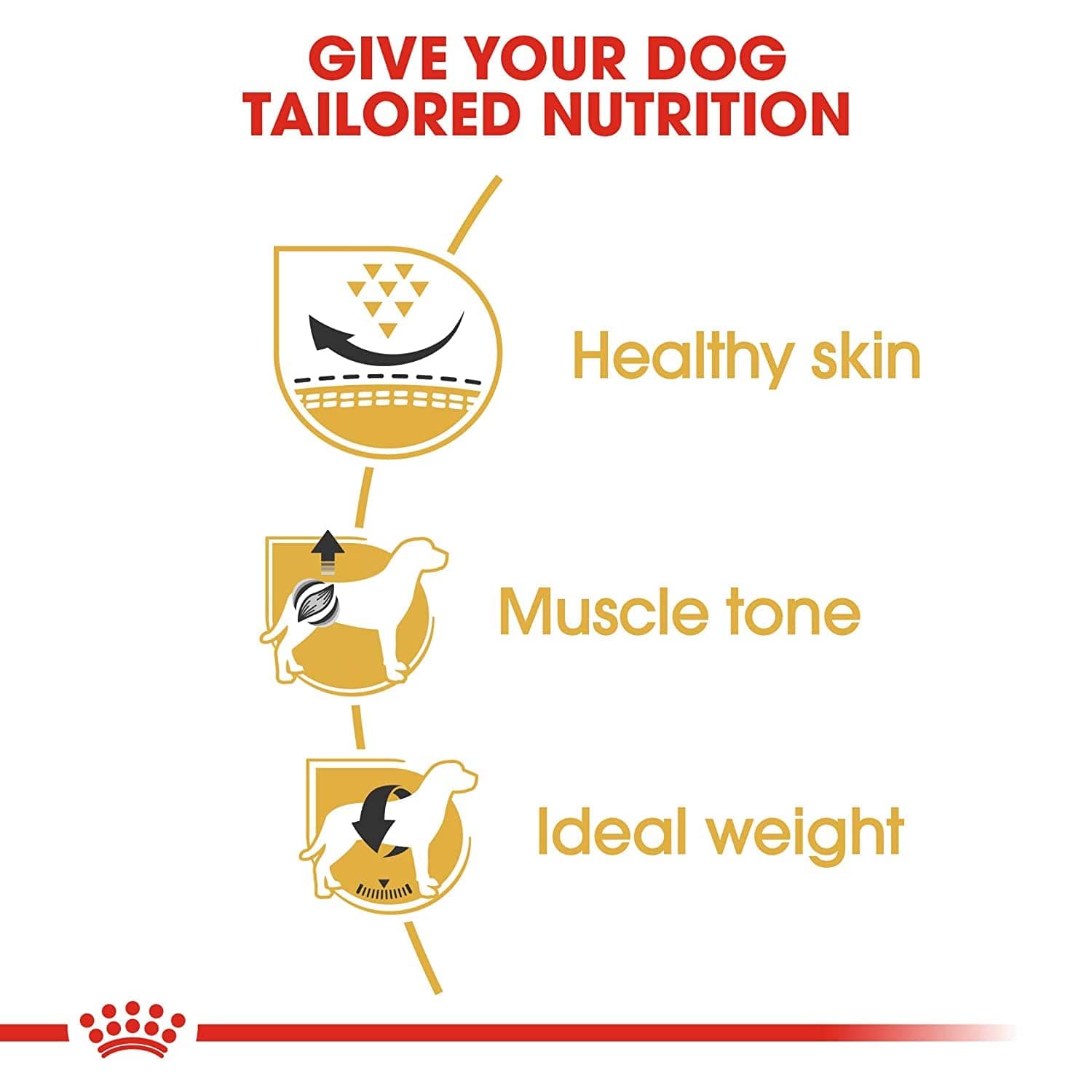 Royal Canin Pug Adult Dog Dry Food — side view
