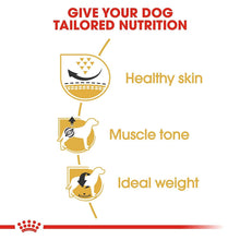 Royal Canin Pug Adult Dry Dog Food - Image 2