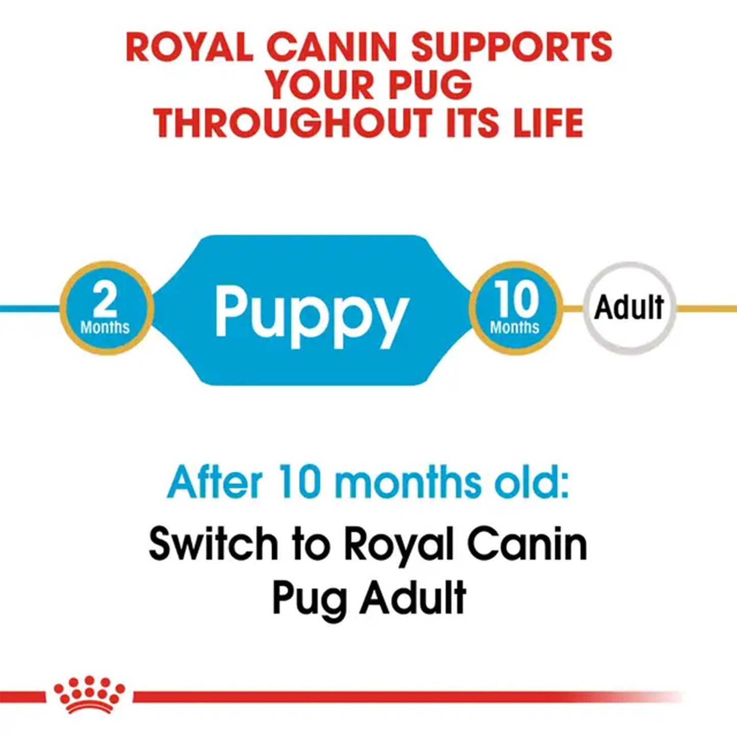 Royal Canin Pug Junior Dog Dry Food — back view