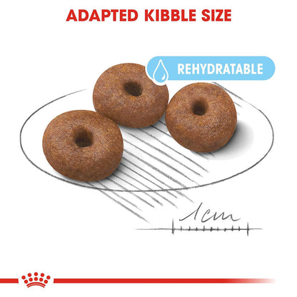 Royal Canin Giant Starter, Mother & Babydog Dog Dry Food — detail shot