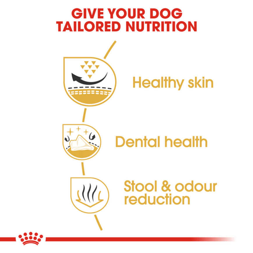 Royal Canin Shih Tzu Adult Dog Dry Food — side view