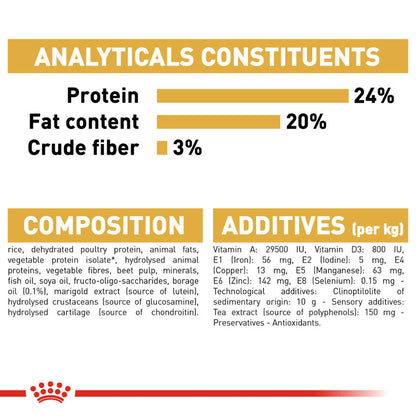 Royal Canin Shih Tzu Adult Dog Dry Food — in use