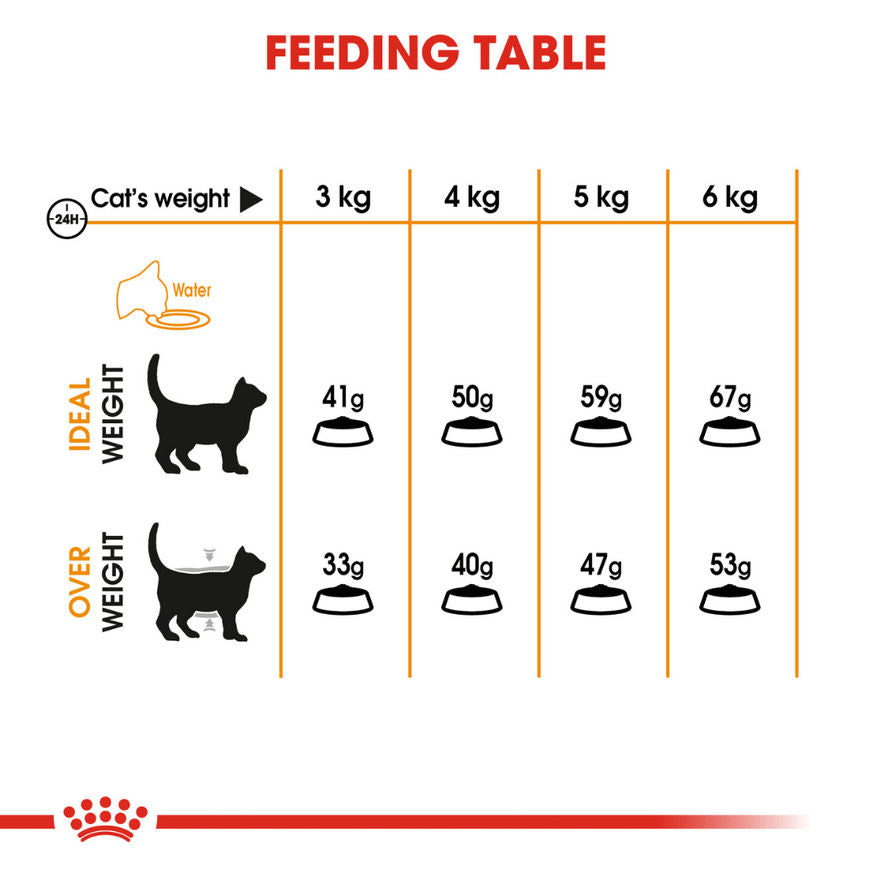 Royal Canin Skin & Hair Care for Adult Cats Dry Food — detail shot