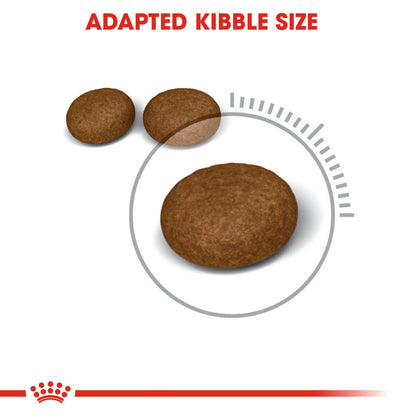 Royal Canin Skin & Hair Care for Adult Cats Dry Food — in use