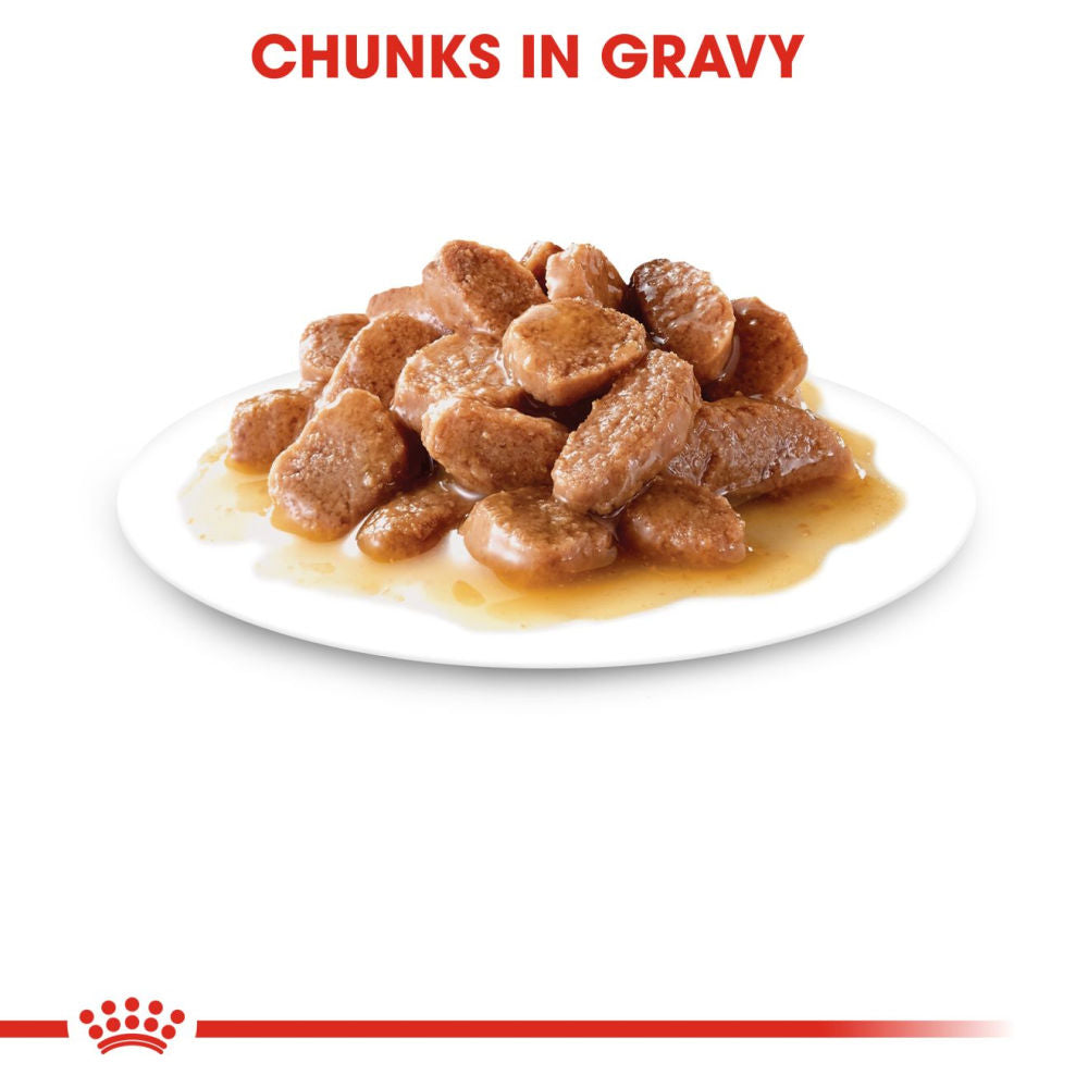 Royal Canin Urinary Care Adult Gravy Cat Wet Food — detail shot