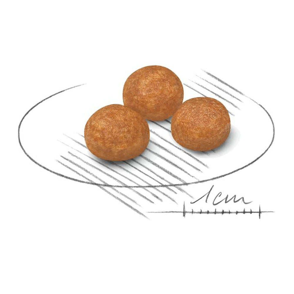 Royal Canin X Small Adult Dog Dry Food — side view