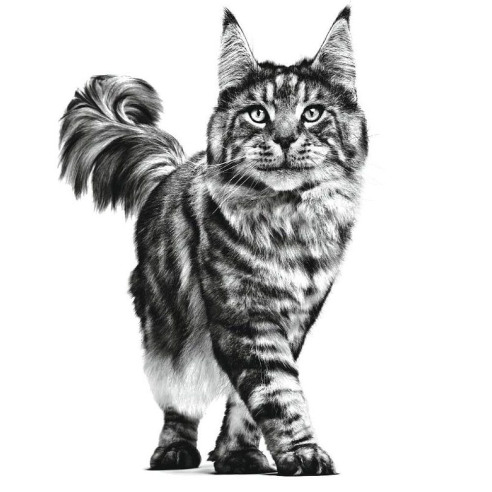 Royal Canin Anallergenic Veterinary Nutrition Cat Dry Food — side view