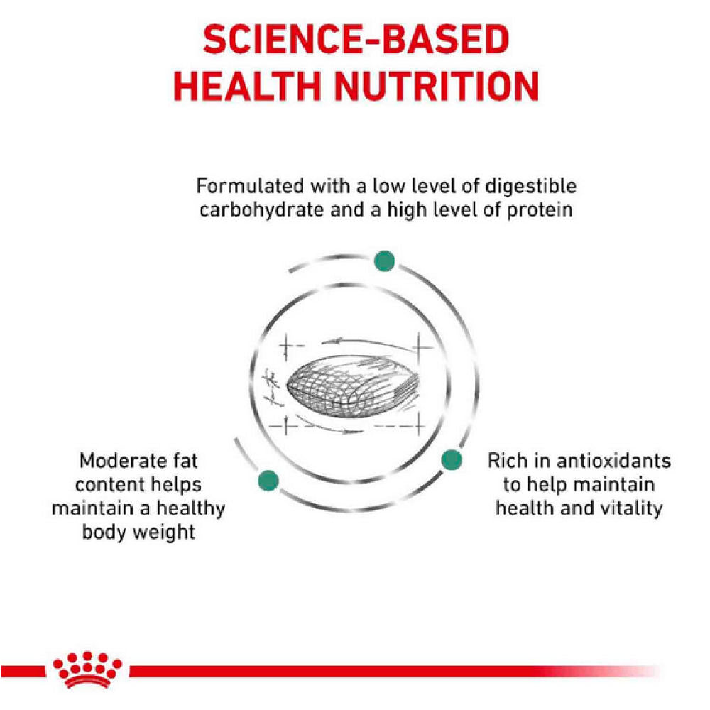 Royal Canin Diabetic Canine Dry Dog Food - Image 3