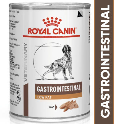 Royal Canin Intestinal Low Fat Canned Wet Dog Food