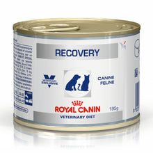 Royal Canin Recovery Canned Wet Dog Cat Food - Image 2