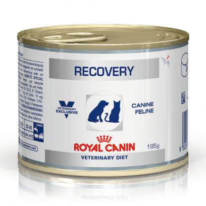 Royal Canin Recovery Canned Adult Pet Wet Food — side view