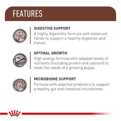 Royal Canin Veterinary Diet Gastrointestinal Puppy Food Can Wet Food — in use