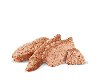 Royal Canin Veterinary Diet Hypoallergenic Dog Wet Food — side view