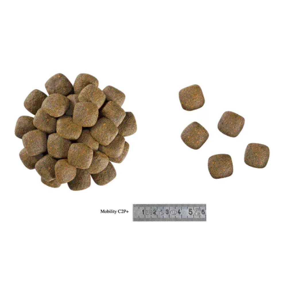 Royal Canin Veterinary Diet Mobility C2P Dog Dry Food - Image 2
