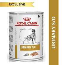 Royal Canin Veterinary Diet Urinary S O Dog Wet Food 1