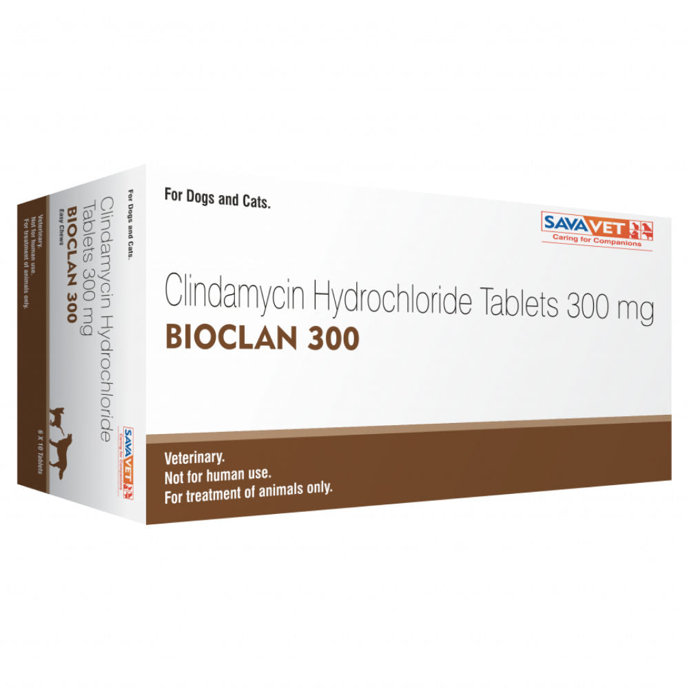 savavet-bioclan-tablet 300mg