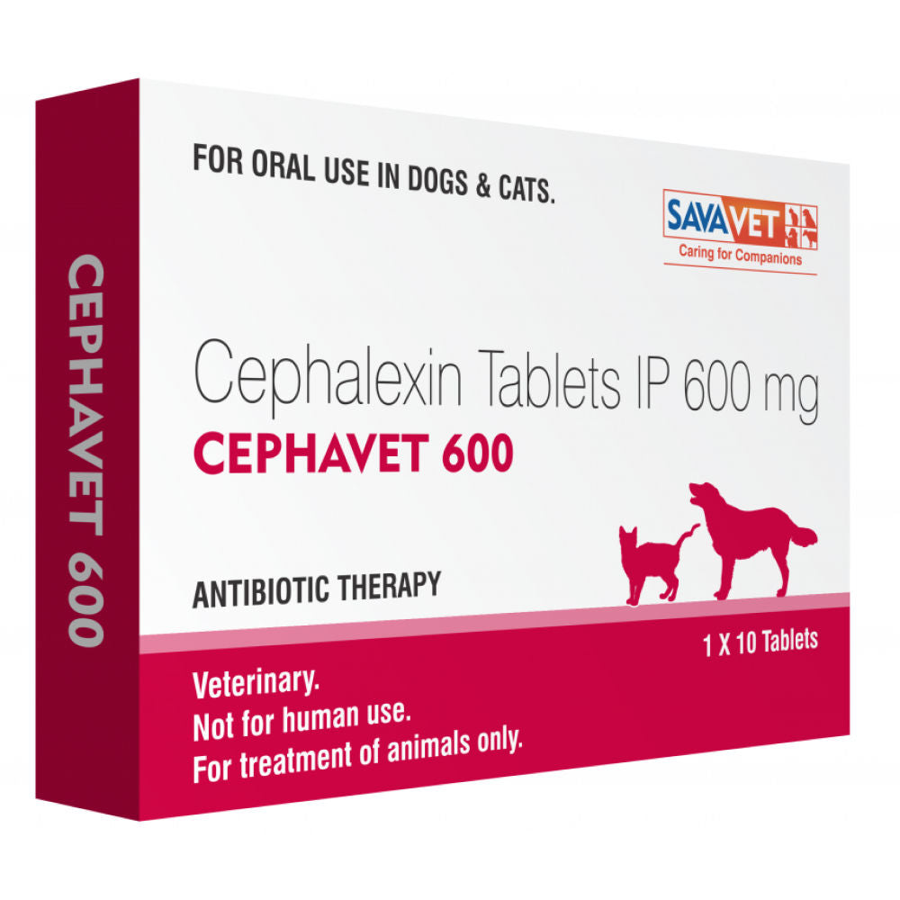 Savavet Cephavet 600mg (Cephalexin) Tablet for Dogs & Cats — detail shot