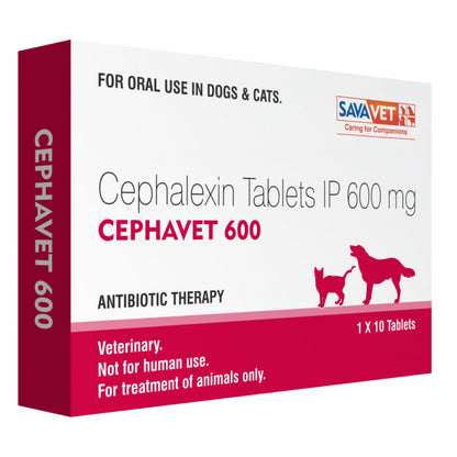 Savavet Cephavet 600mg (Cephalexin) Tablet for Dogs & Cats — detail shot