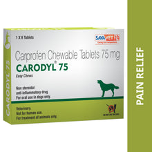 Savavet Carodyl Dog 75Mg Tablet Pack Of 6 Tablets