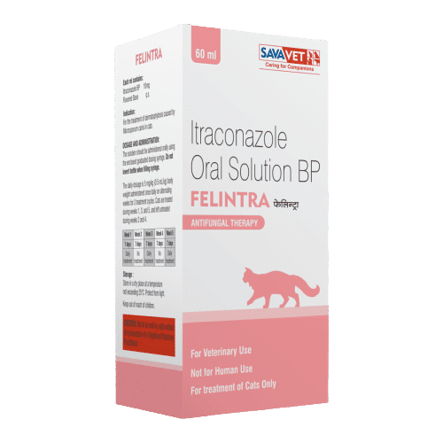 Savavet Felintra Oral Solution Cat - Image 2