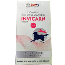 Savavet Invicarn For Dogs And Cats - Image 2