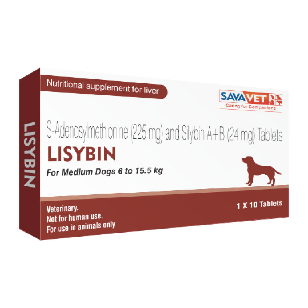 Savavet Lisybin Tablet — side view